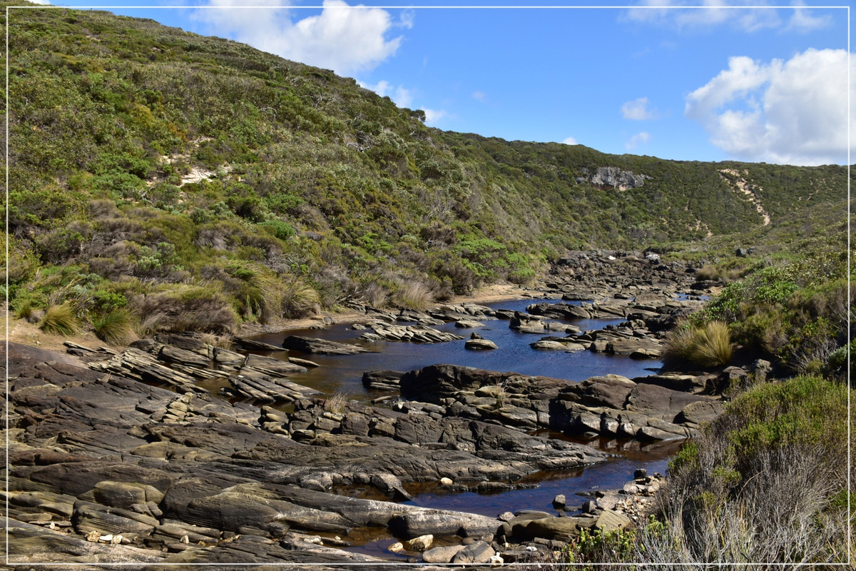 Australia (I): toma de contacto - Blogs de Australia - Kangaroo Island (27)