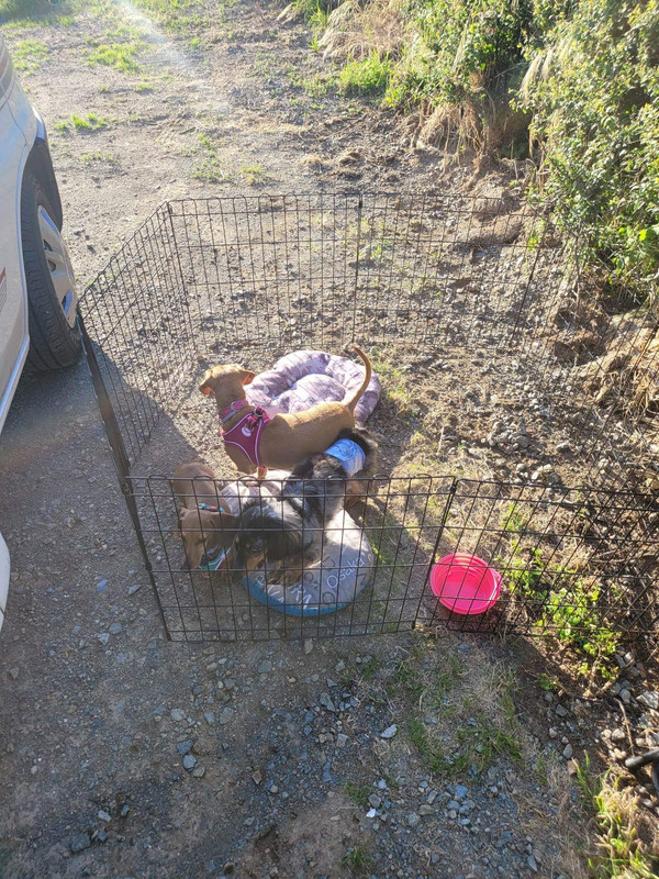 [Image: IMG-9471.jpg]