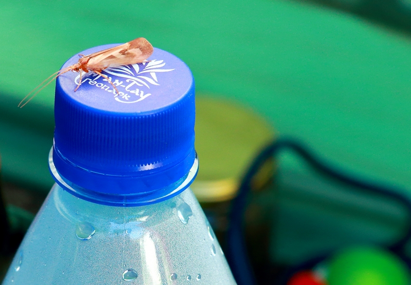 IMG_3157 (Копировать)