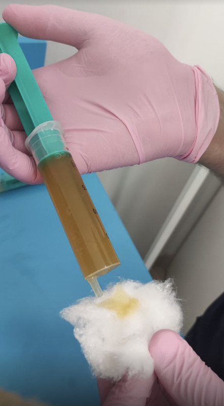 F13D740A-075B-4B02-97F2-FB8814342E14