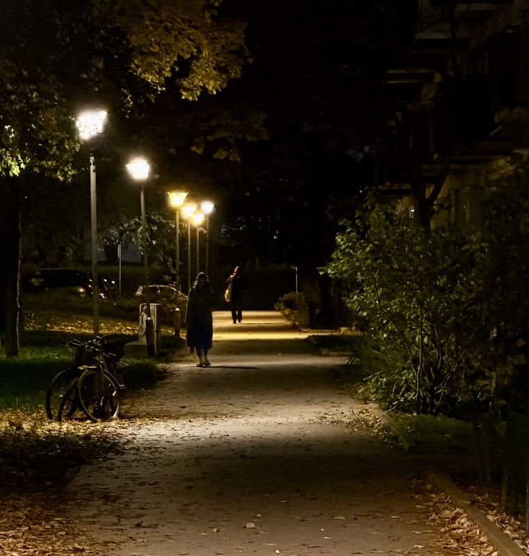 IMG-0248.jpg
