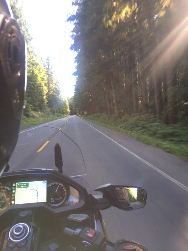 D13231F8-3A18-4A20-9991-4FF9AAAC9B72