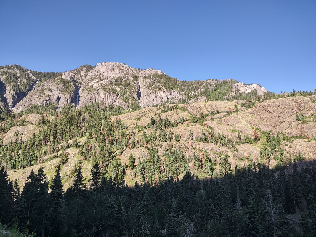 IMG_20250621_084349499_HDR