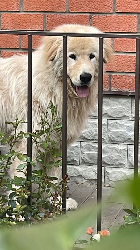 2D22BFB6-E2C1-4304-AB7E-3AFB4FEC5910