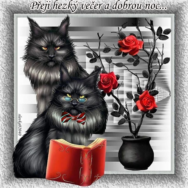 <a href=„//link.chatujme.cz/redirect?url=https%3A%2F%2Fi.postimg.cc%2F3w4mNsCM%2Fcz-ve-a-noc-z3.jpg“ target=„_blank“>https://i.postimg.cc/3w4mNsCM/cz-ve-a-noc-z3.jpg</a>