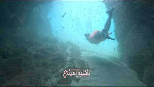 IMG-20240815-WA0030