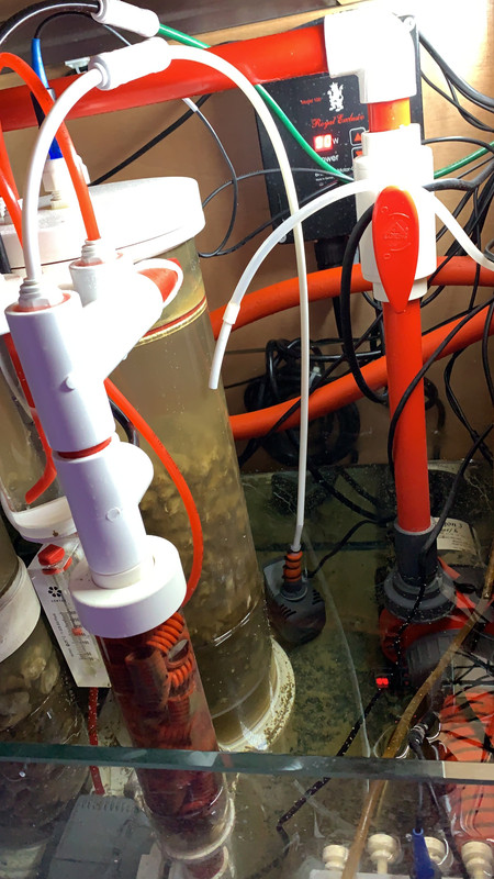 FF82C23A-1967-46DA-BDD5-529BD50B6DEB