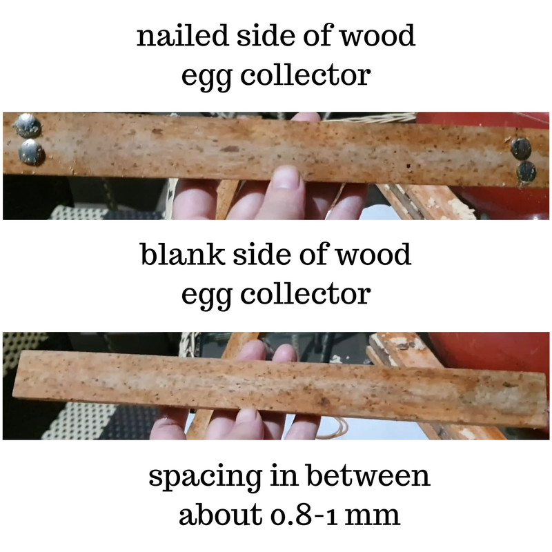 both-sides-wood-egg-collector.jpg