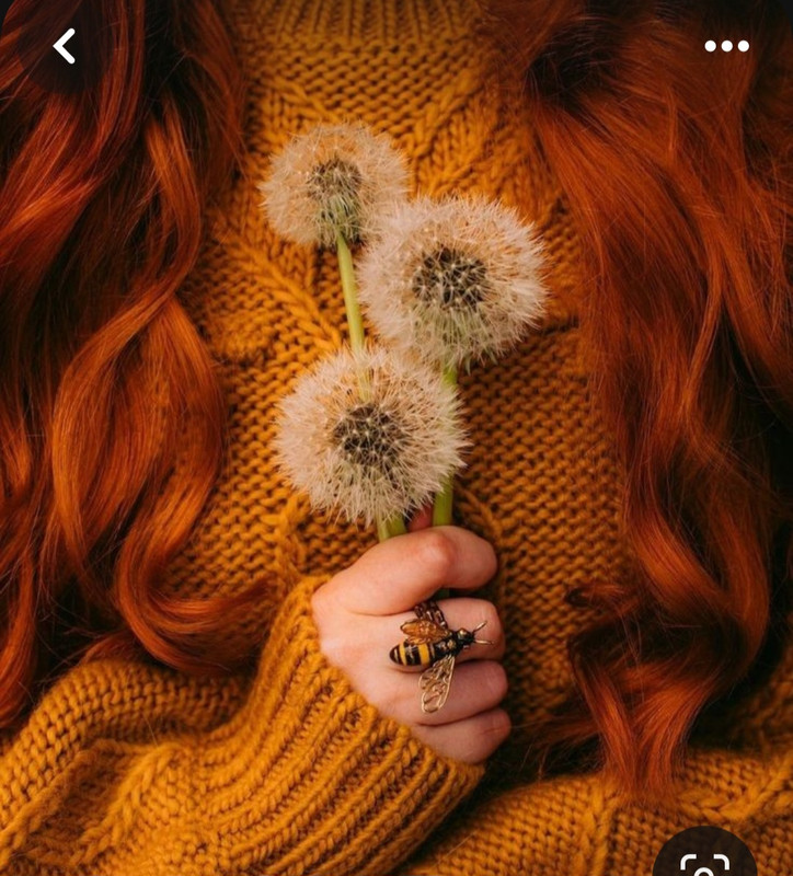 Screenshot_20231127_224101_Pinterest