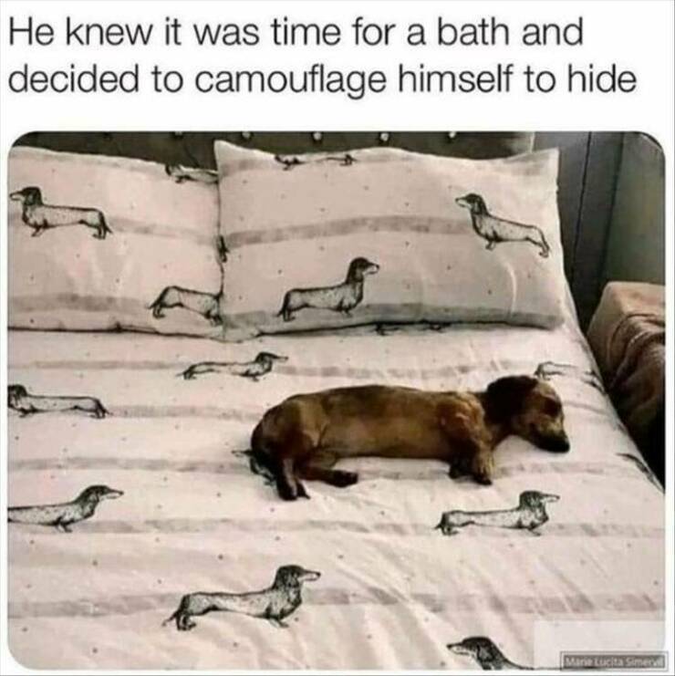 camouflage.jpg