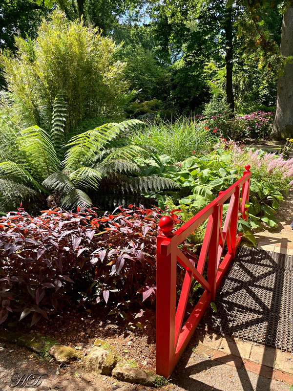 fence-abbots-HD.jpg