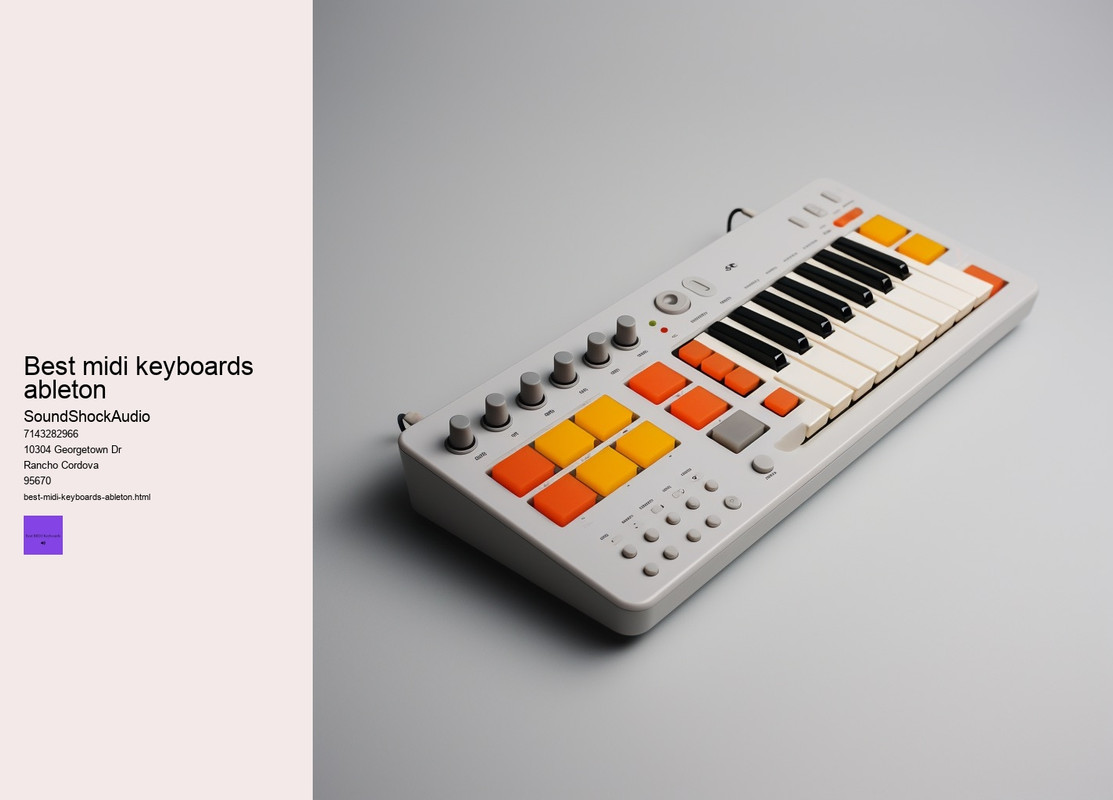 professional mpk mini