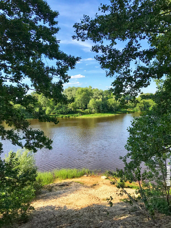 07DE96DD-CAD2-4BA5-9E58-A5368AD245F2