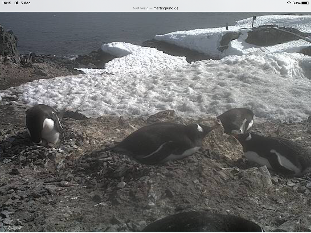 7DF74A58-4159-4D91-B6EE-9EA0B1181FAE