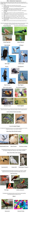 relationship-birds-complete