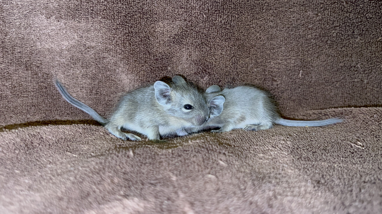 7B1C9D77-BA68-40FF-BD4E-E59D4AE305D0