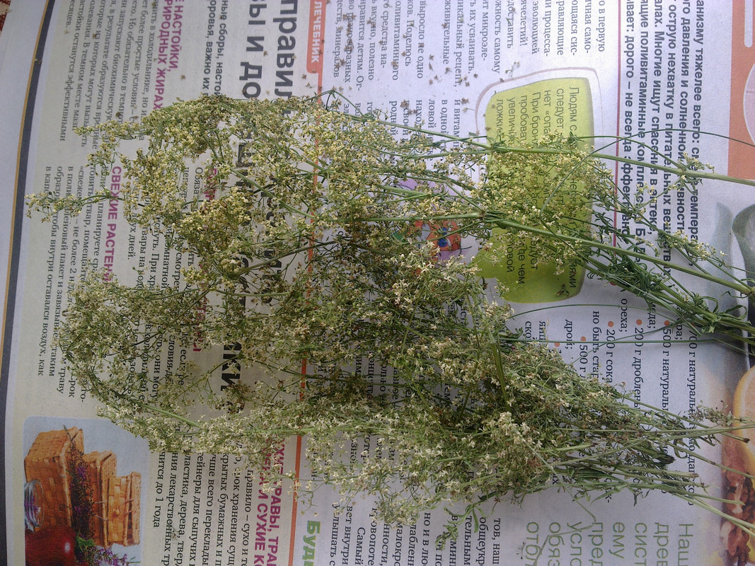 060720161261