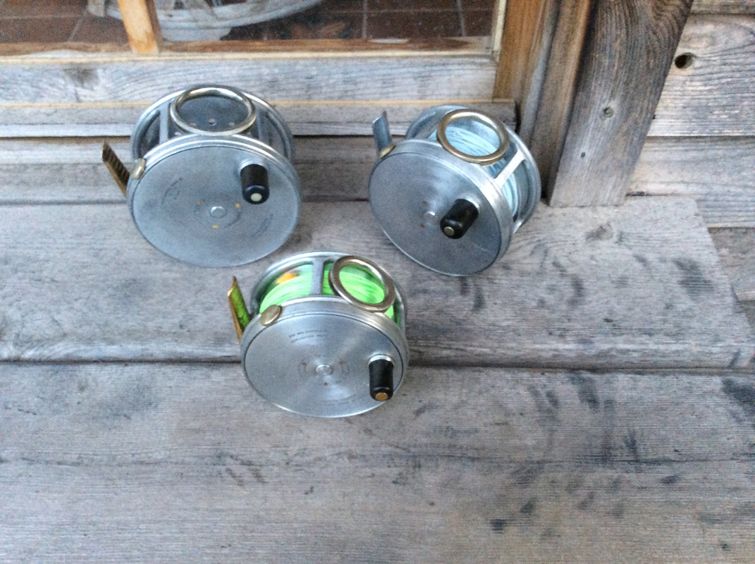 B9979A59-6AC7-4F00-8731-1811962B1598