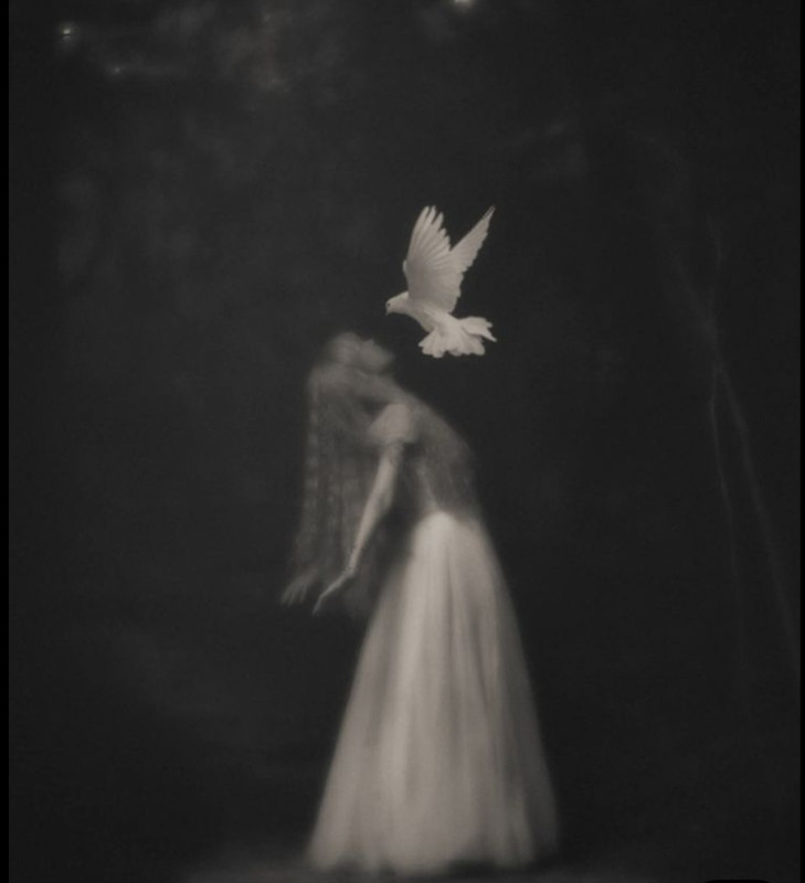 Screenshot_20251001_213406_Pinterest