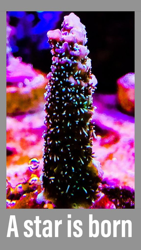 2EC198DA-FC4D-479A-A365-769DC0C6BEFF