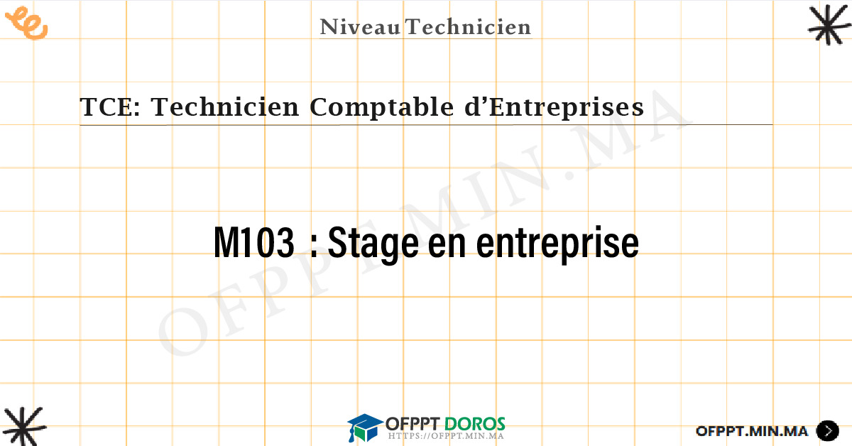 Sommaire détaillé du cours Stage en entreprise M103 OFPPT - Structure du module