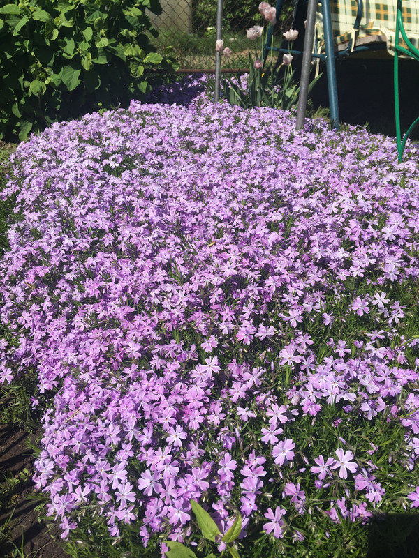 BE6B7695-2560-45B2-830F-C1727324DDDF