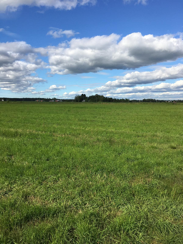 DA062526-C3E2-4F6A-84F0-8A6176E24EDA