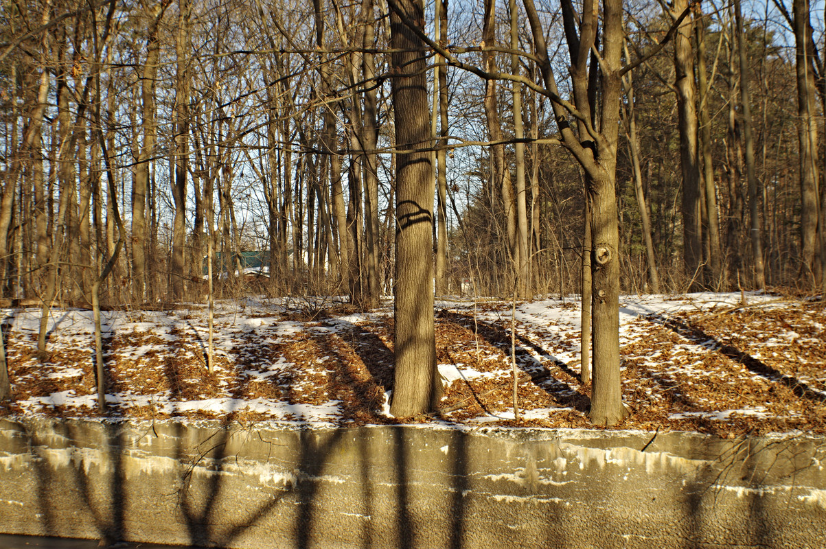 f8 02 — Postimages