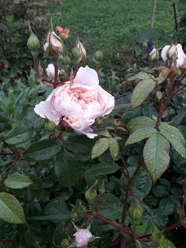 20190524_092452