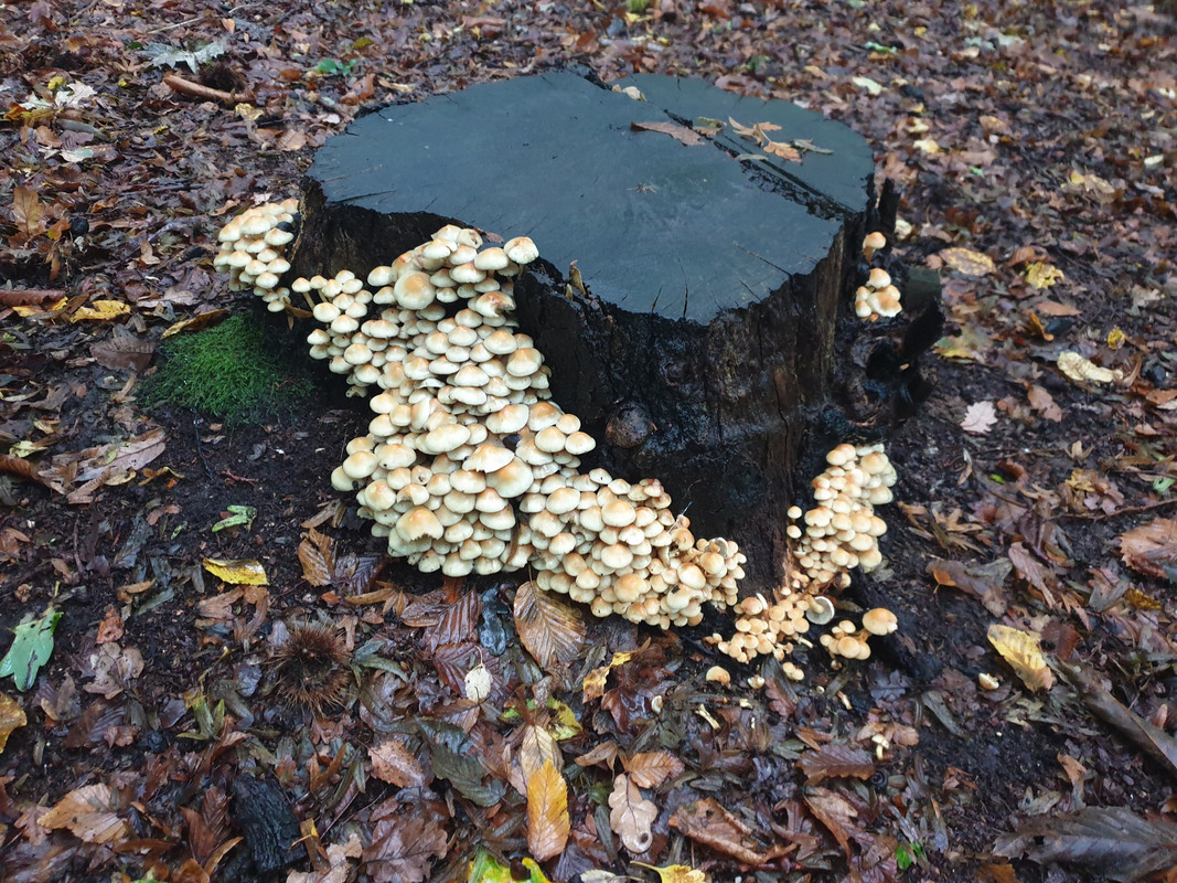 B4D49555-4680-4E39-8CF6-E51F530A587A