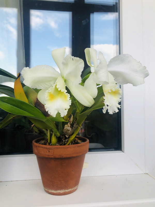 38D5ECC9-E878-4D9B-97F9-502FD2A405EB