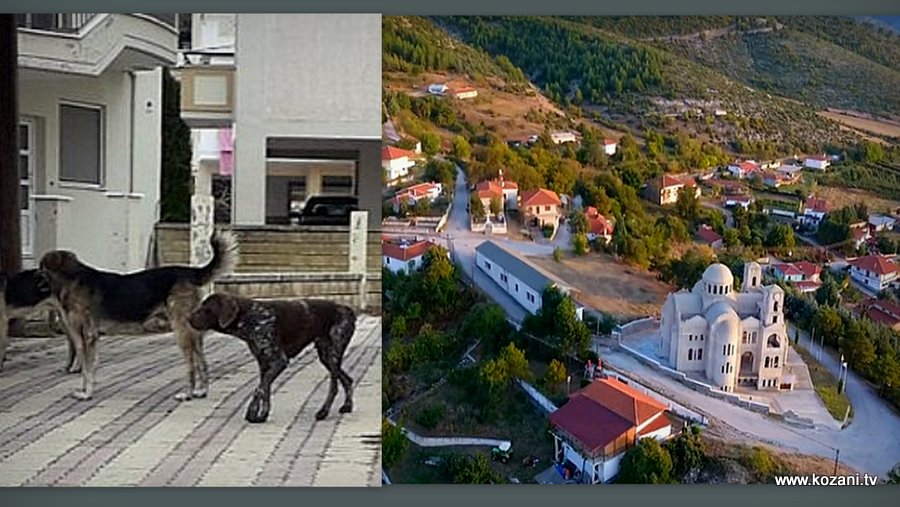 κοζάνη, ειδήσεις, νέα, Πτολεμαΐδα