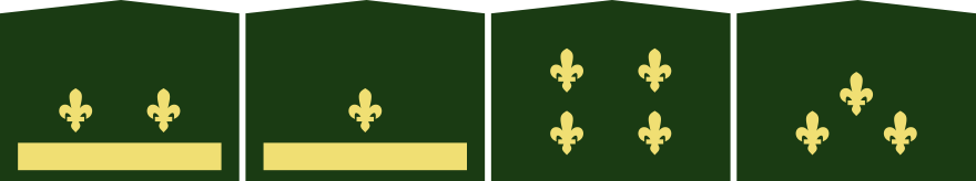 GRUD4