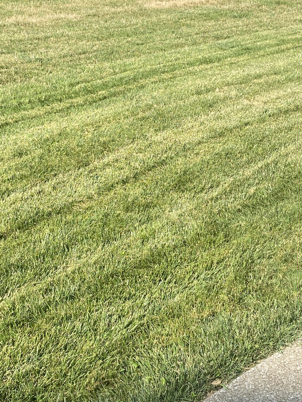 08A0CD43-C000-4EFD-B8B7-F37232312D42