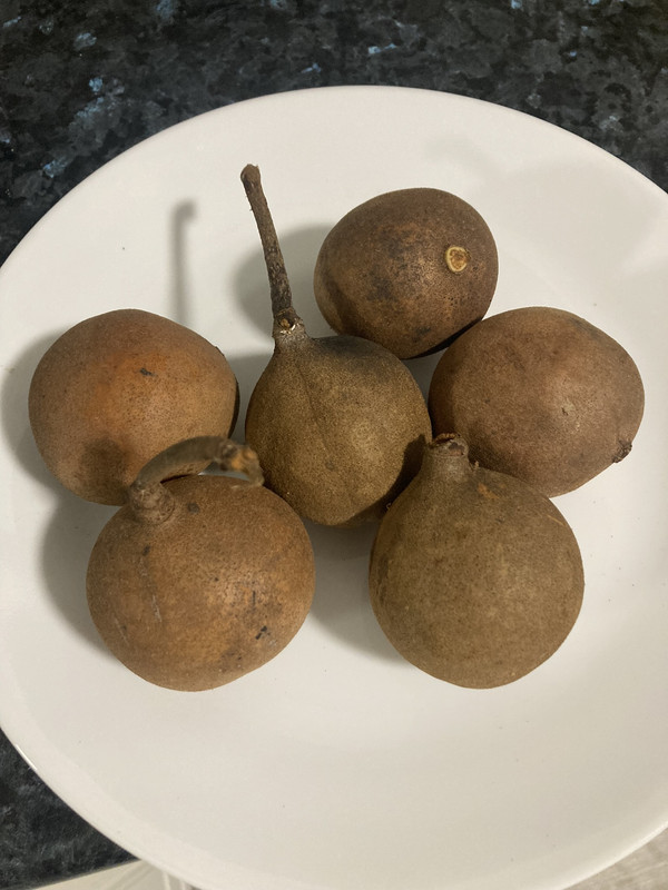 E2131F19-7C07-45F7-A554-B50FC22BF371