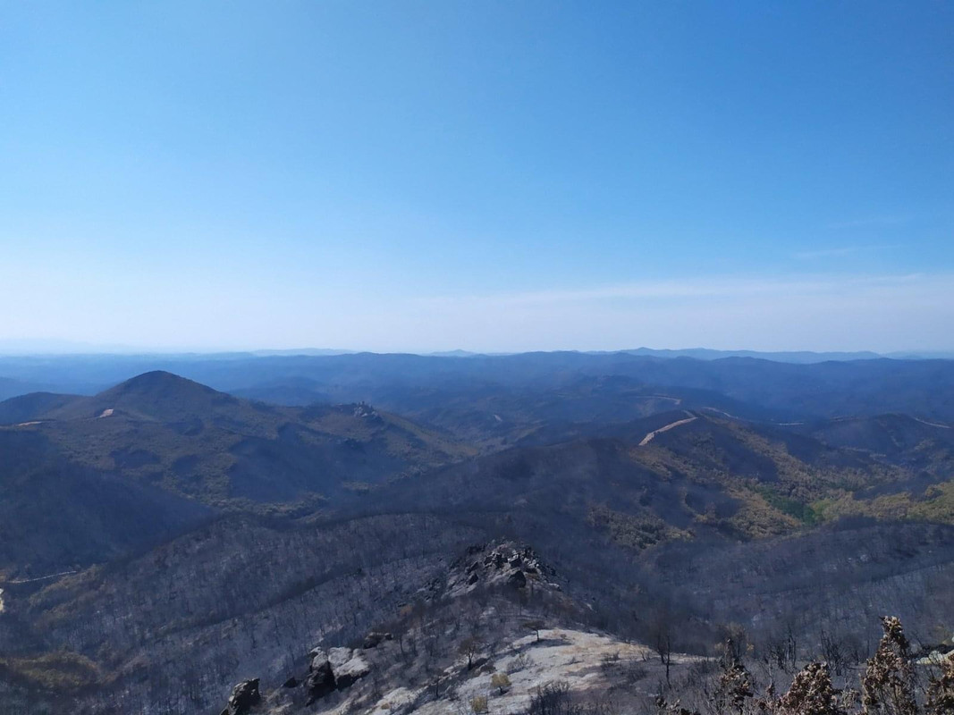 0025996F-D897-48FE-823D-3B03BEEC6D5A