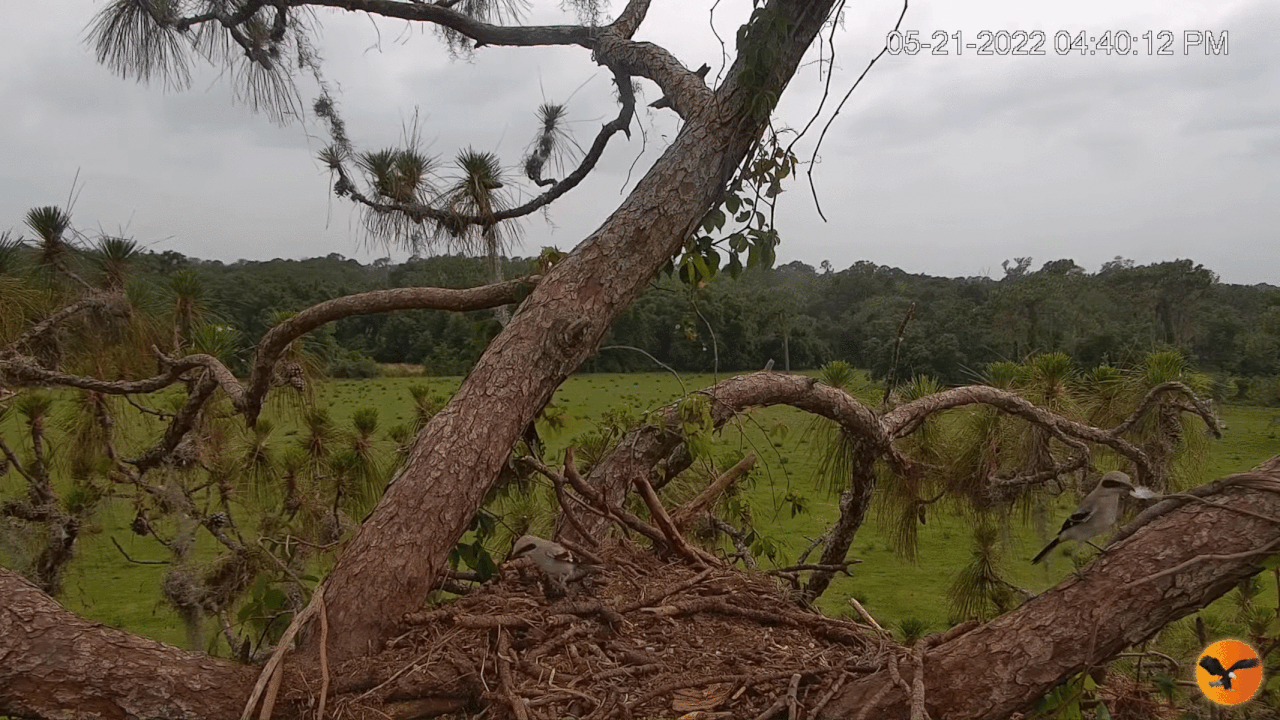 Webp.net-gifmaker (11)