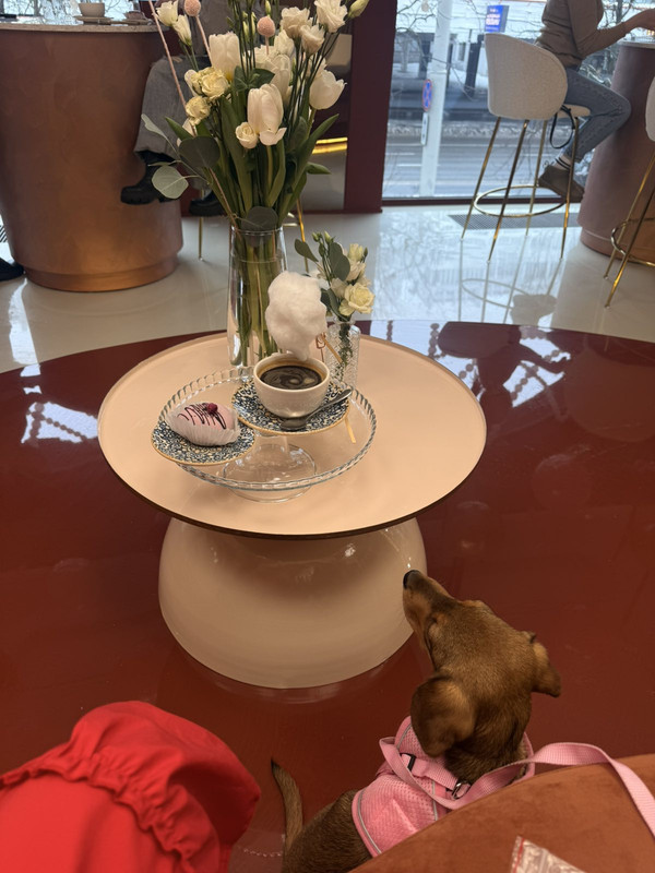 IMG 2911487d4ddeb8c3f7f1ae6a65c13978 V