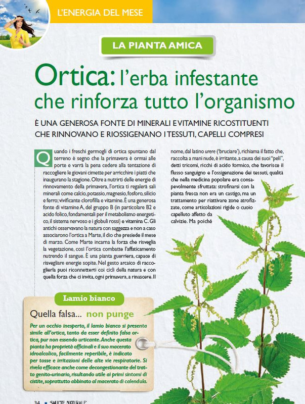 Sal Nat Mar 2025 (5)