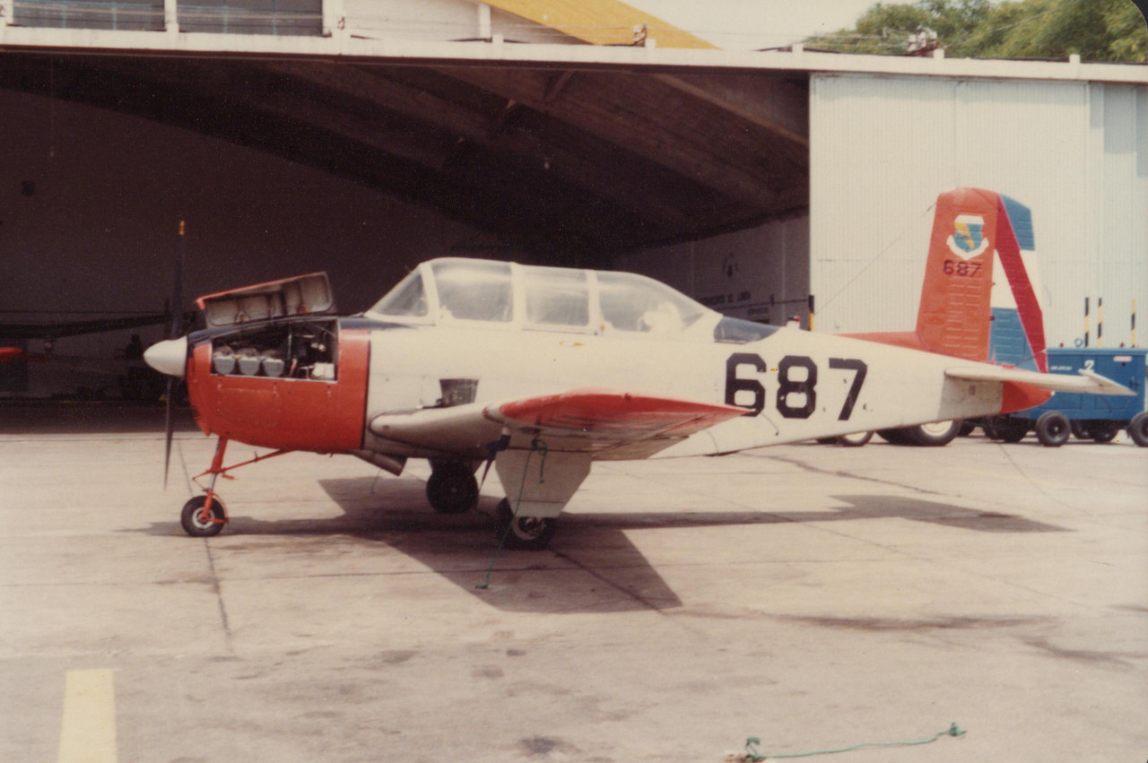 FAU 687 T 34B BA2 Durazno 11 1981 NM