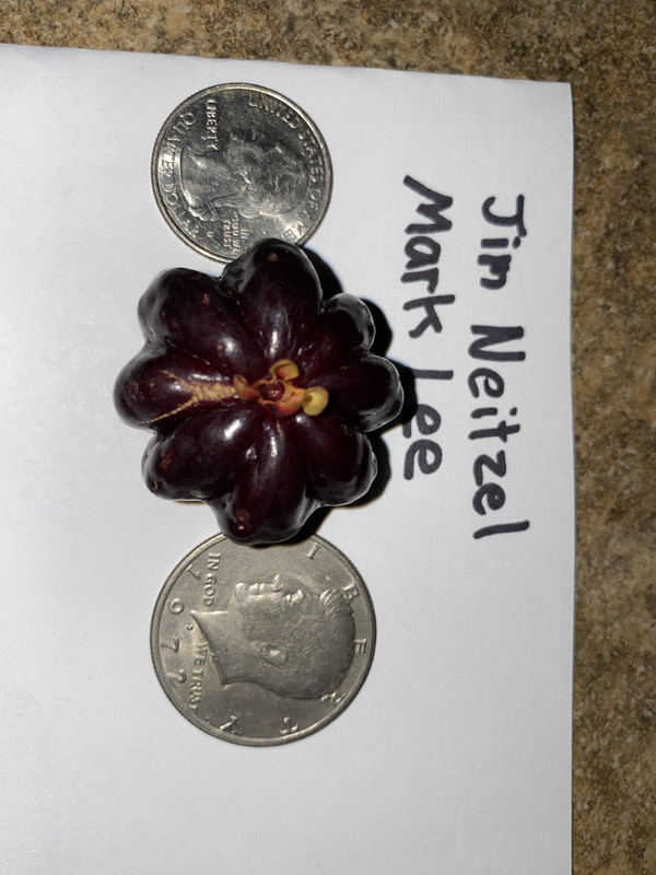 EDC78F7B-A6A8-4522-B889-BE741D105747