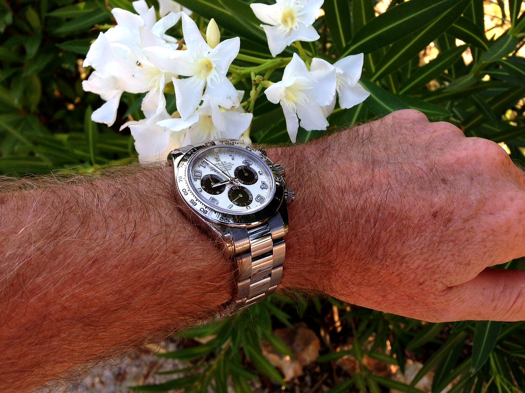 HOMMAGE à ZEN : ici notre plus beau bouquet de ROLEX ! - Page 3 IMG-8065