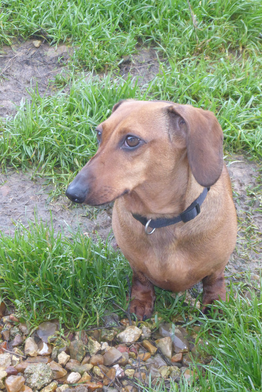 [Image: P1040201.jpg]