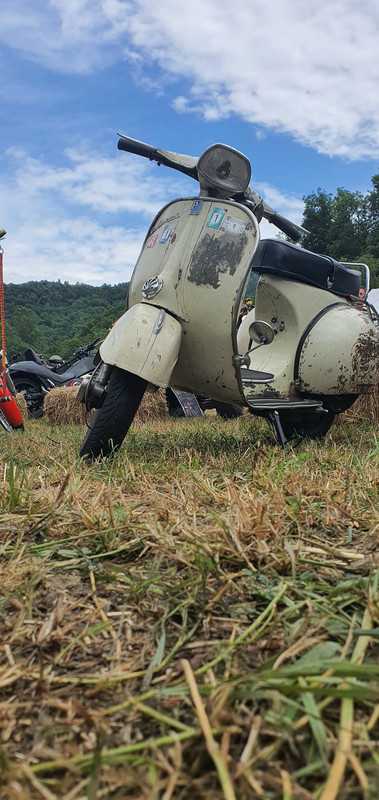 VE-H6tSwQdaCfkGtI0LcXg