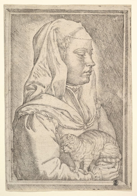 Jan-Cornelisz-Vermeyen-Girl-with-a-Cat-1546-Meister-Drucke-850285