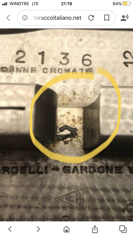 62BE118C-9F79-4404-AF89-24FC8031F4F7