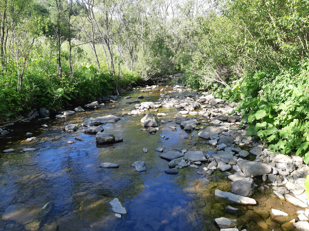 07.17b - 20220618_163527 (PiTT)