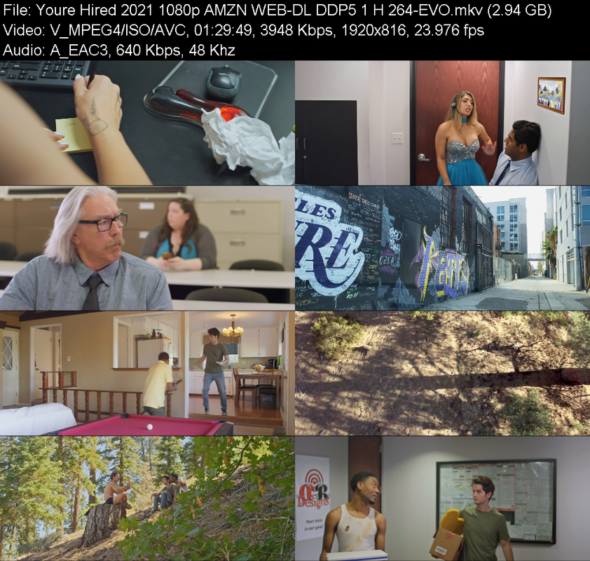 youre-hired-2021-1080p-amzn-web-dl-ddp5-