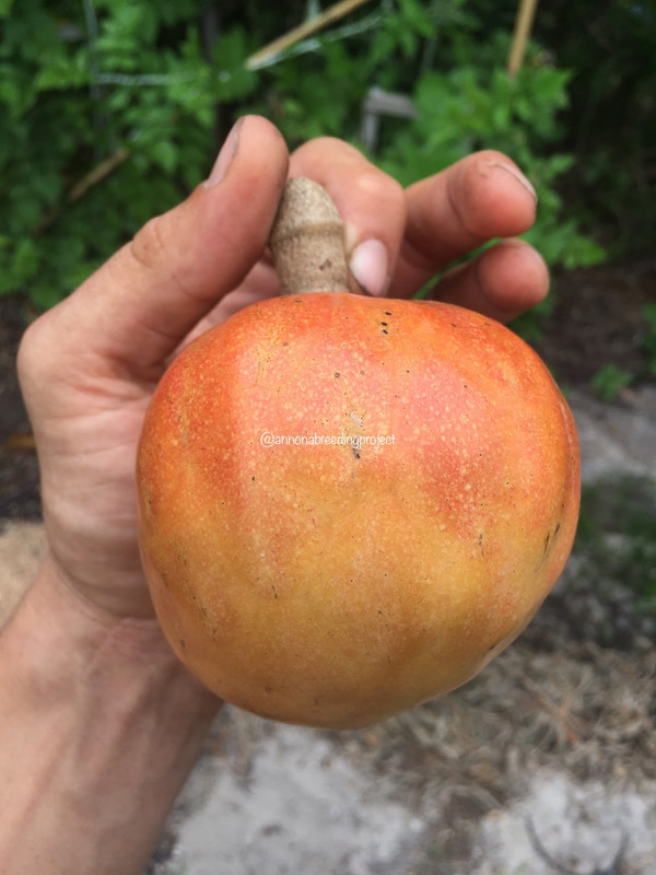 34ED87A2-AB62-44FD-95B5-0E14339C93B7