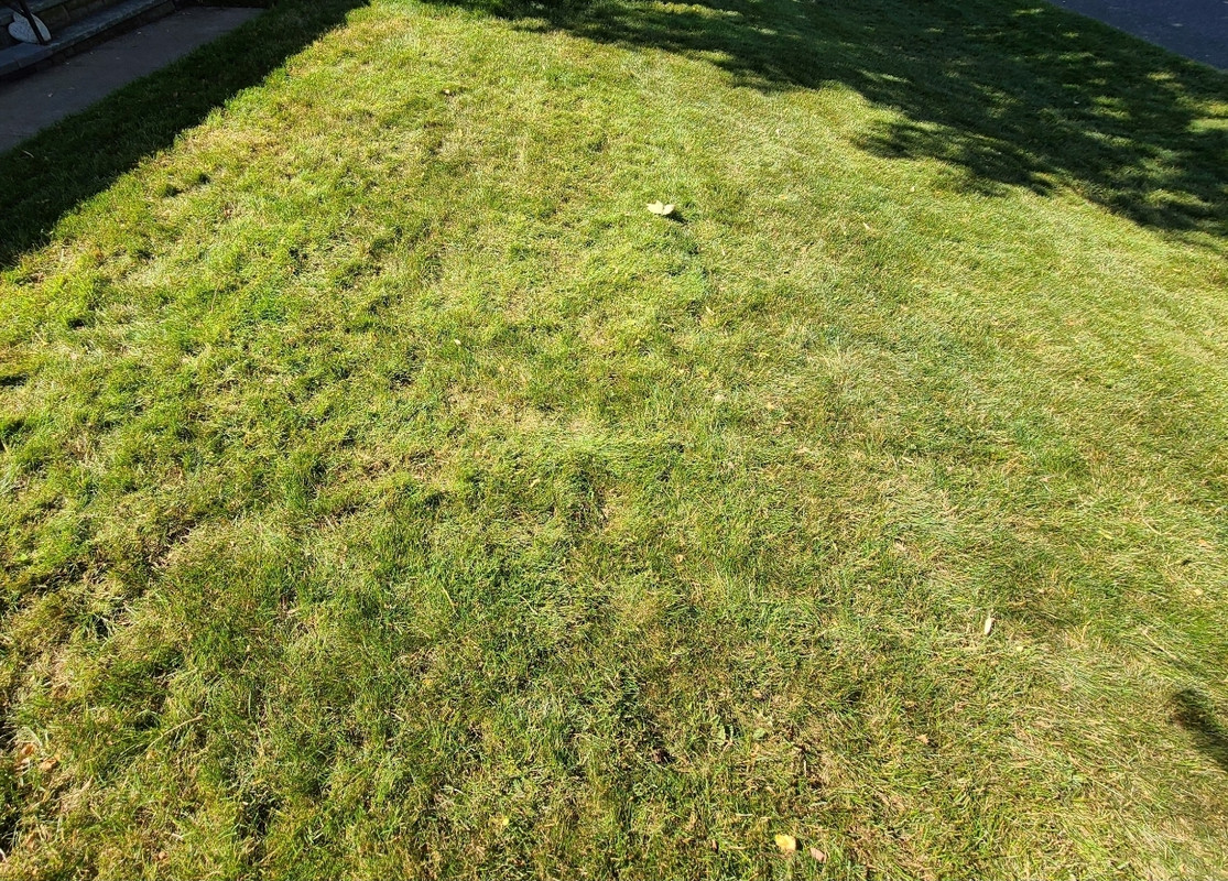 Screenshot_20200629-141618_Photos